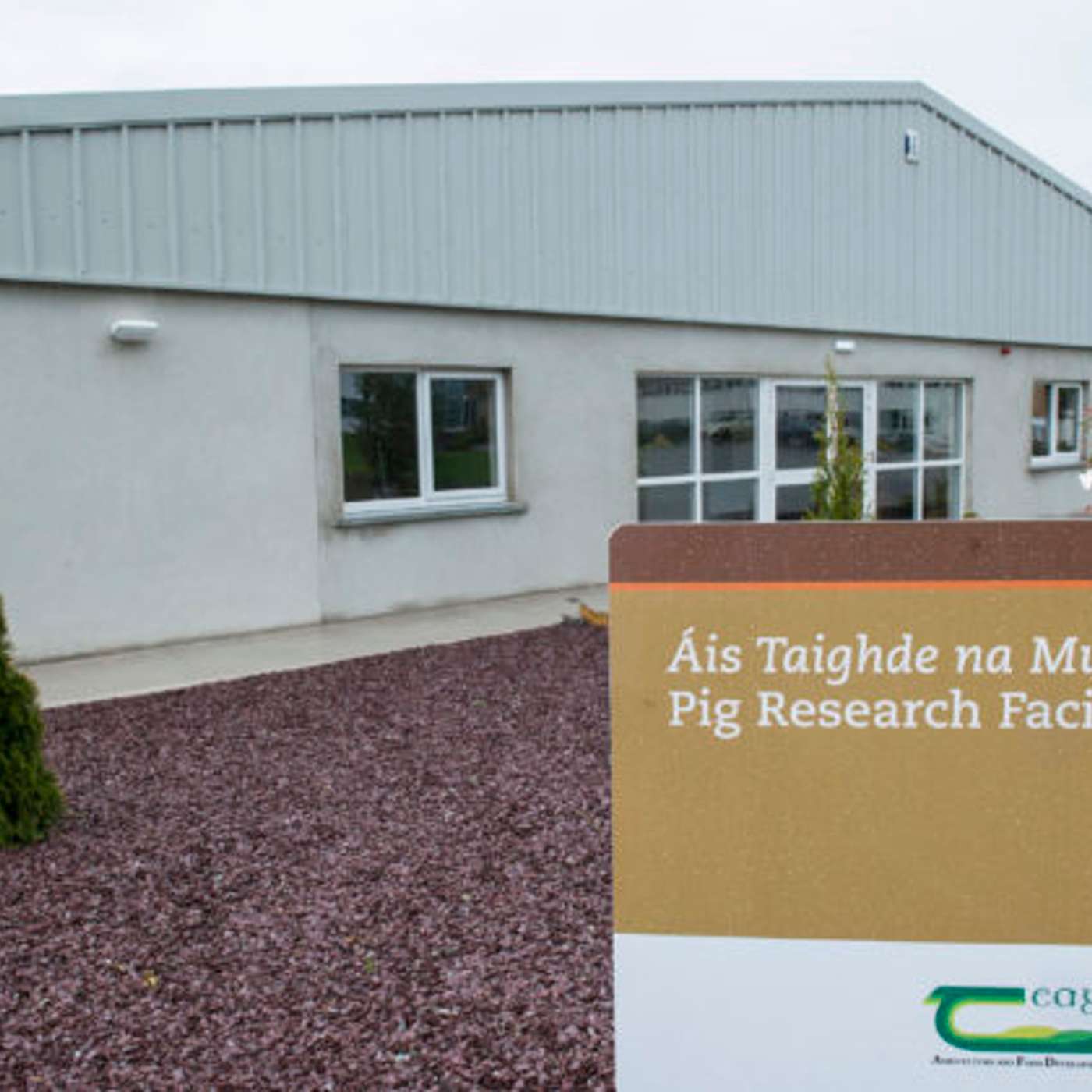 The Economic Benefits of Teagasc’s Pig Research