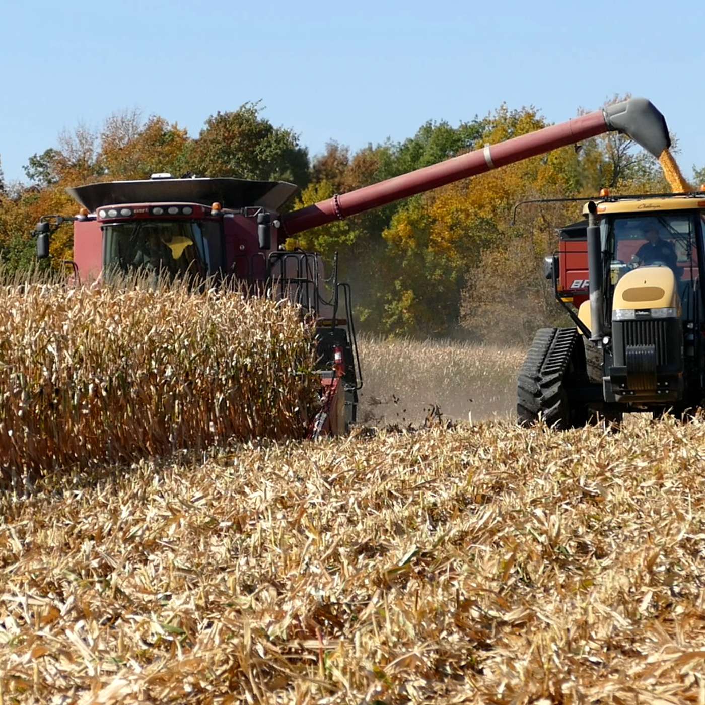 2025 Fall fertilizer outlook: Management tips during economic uncertainty