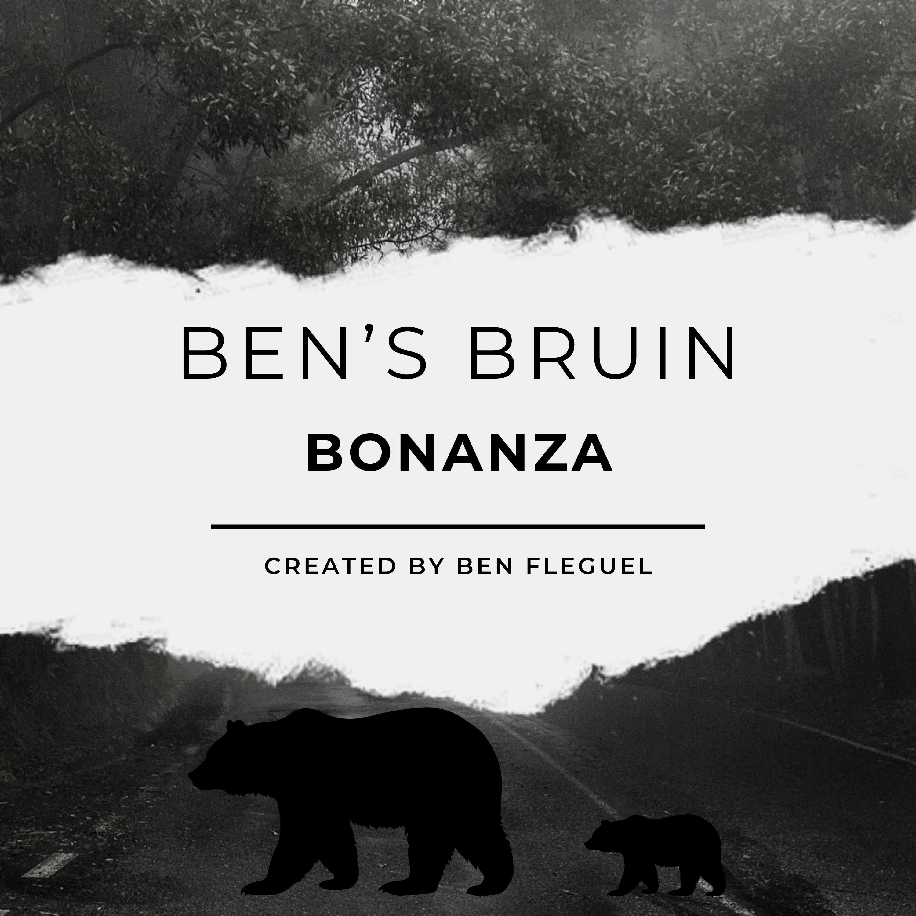 Ben's Bruin Bonanza
