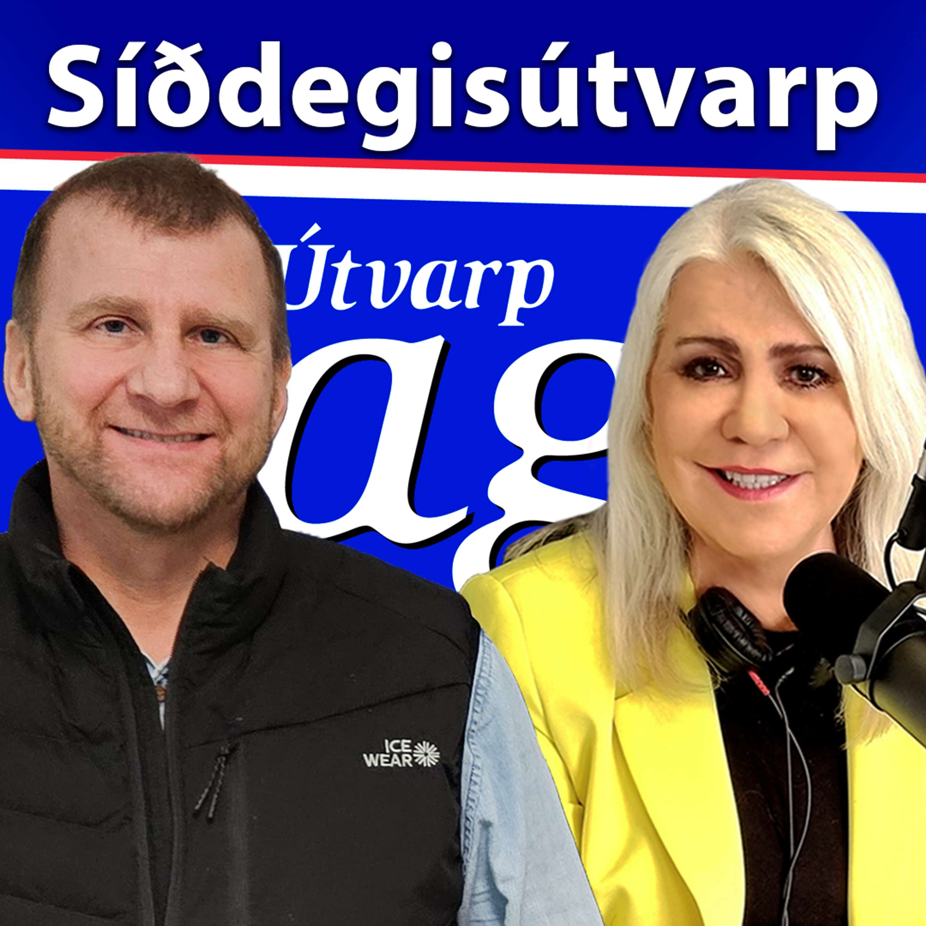 Lögreglumál - Fjölnir Sæmundsson