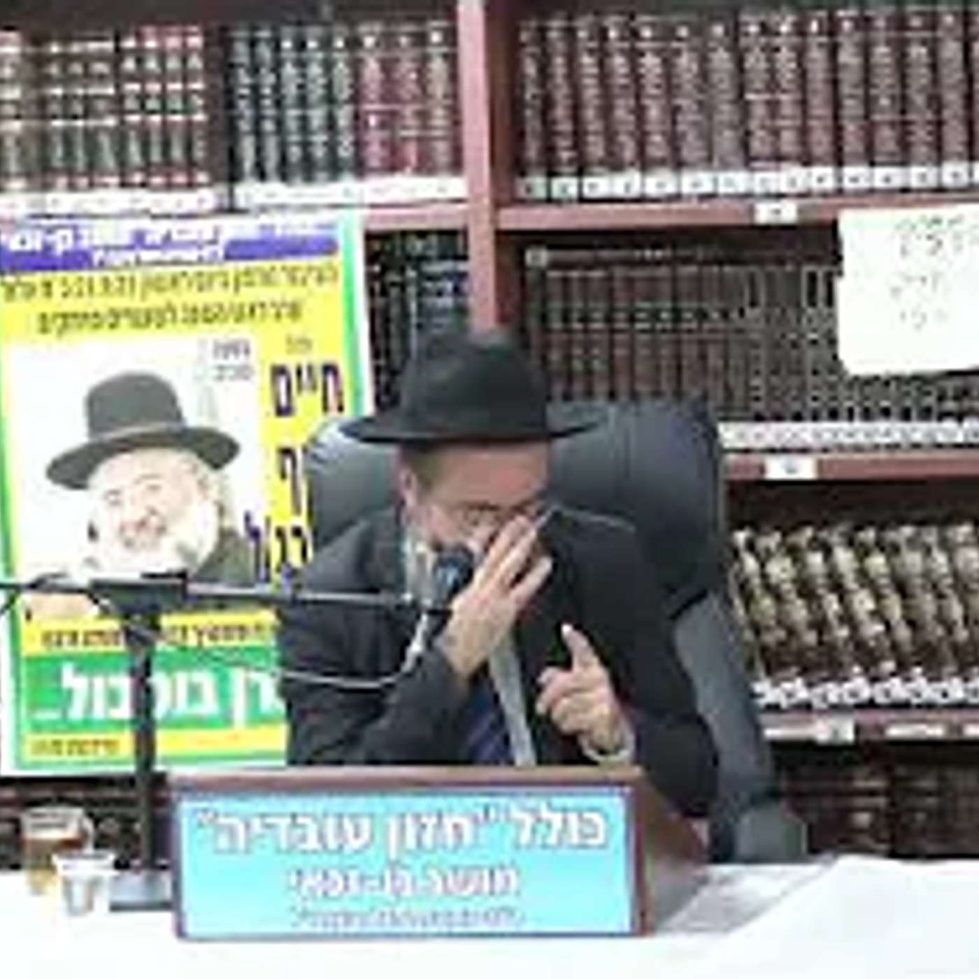 הרב אלמוג לוי :  הלכות ארבעת המינים .