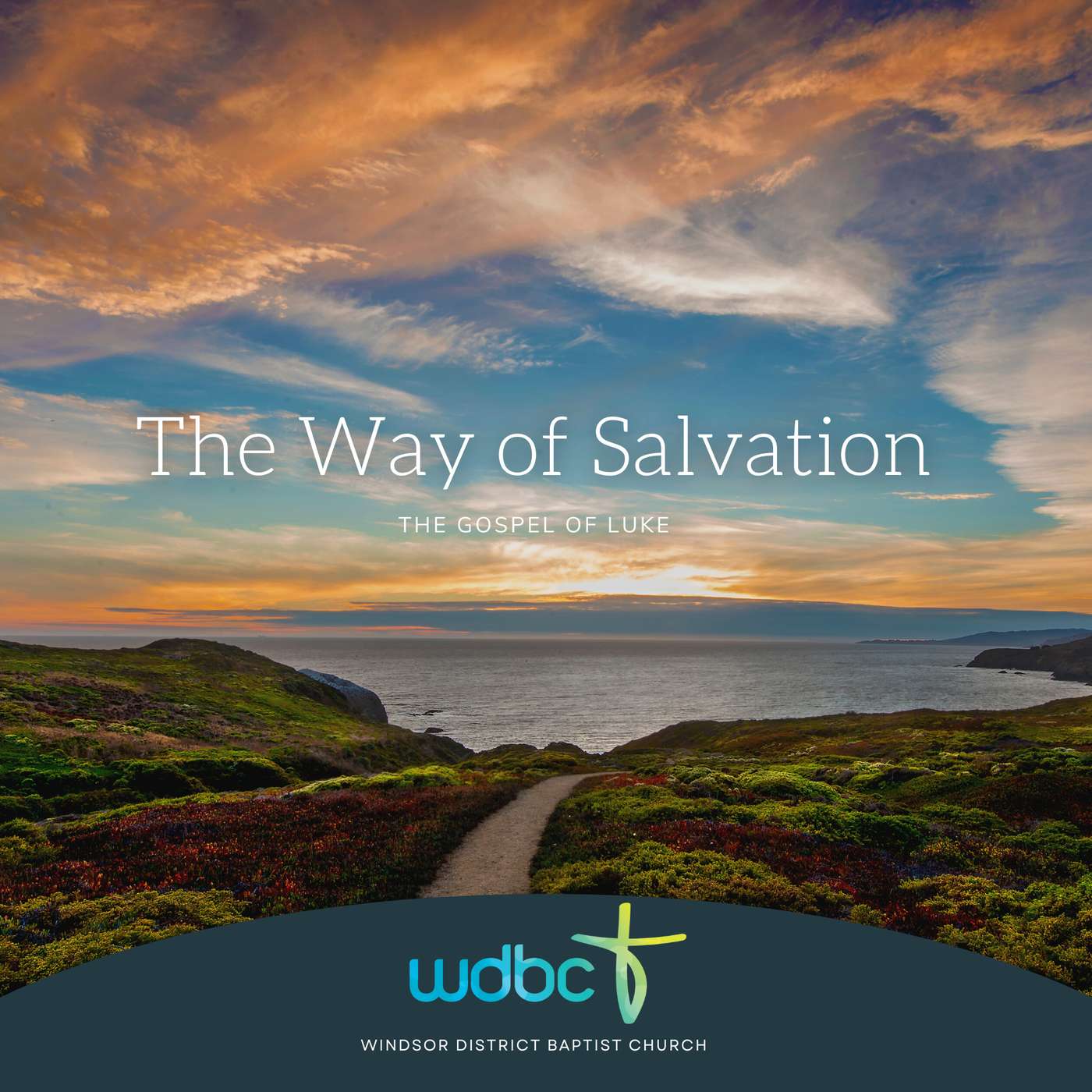 The Way of Salvation #29 | Suffering