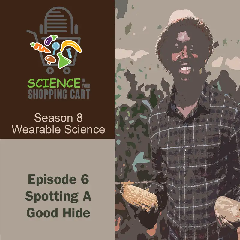 Season 8: Wearable Science | Episode 6: Spotting A Good Hide