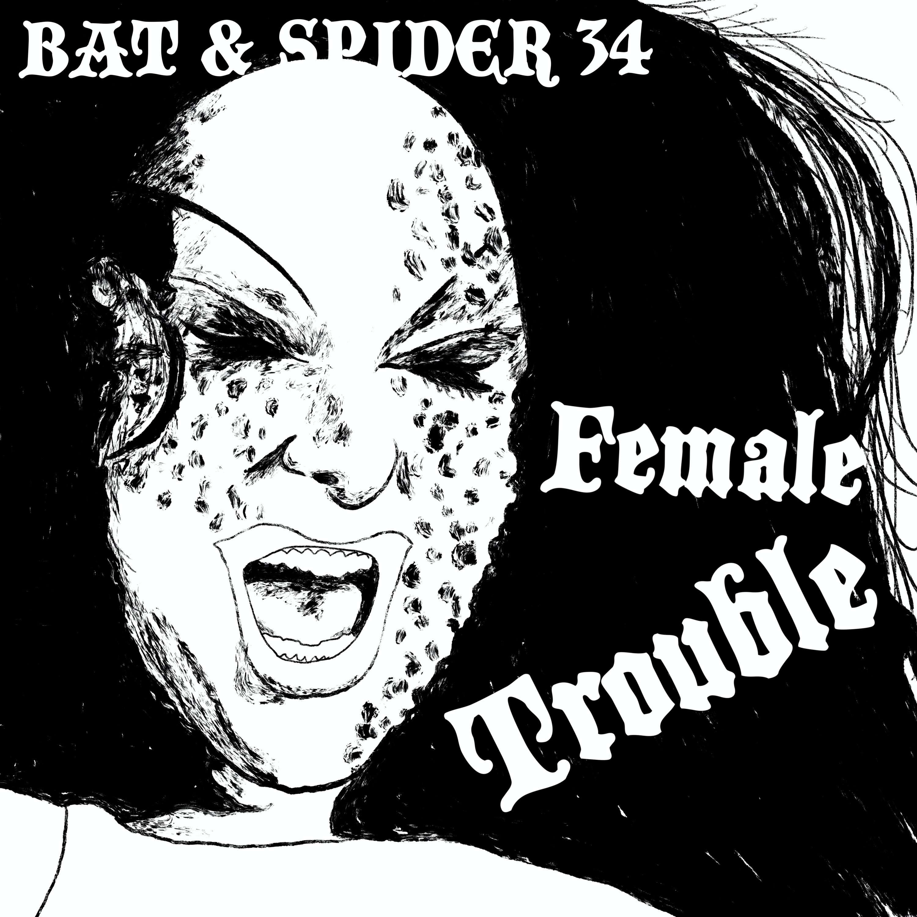 BAT AND SPIDER