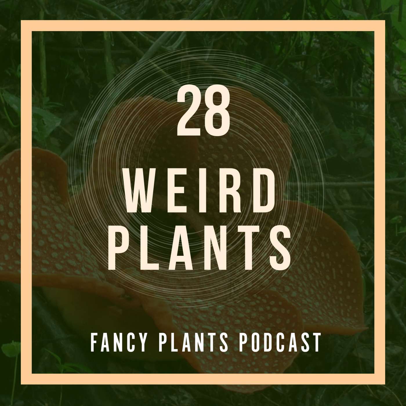 28. Weird Plants 28. Weird Plants