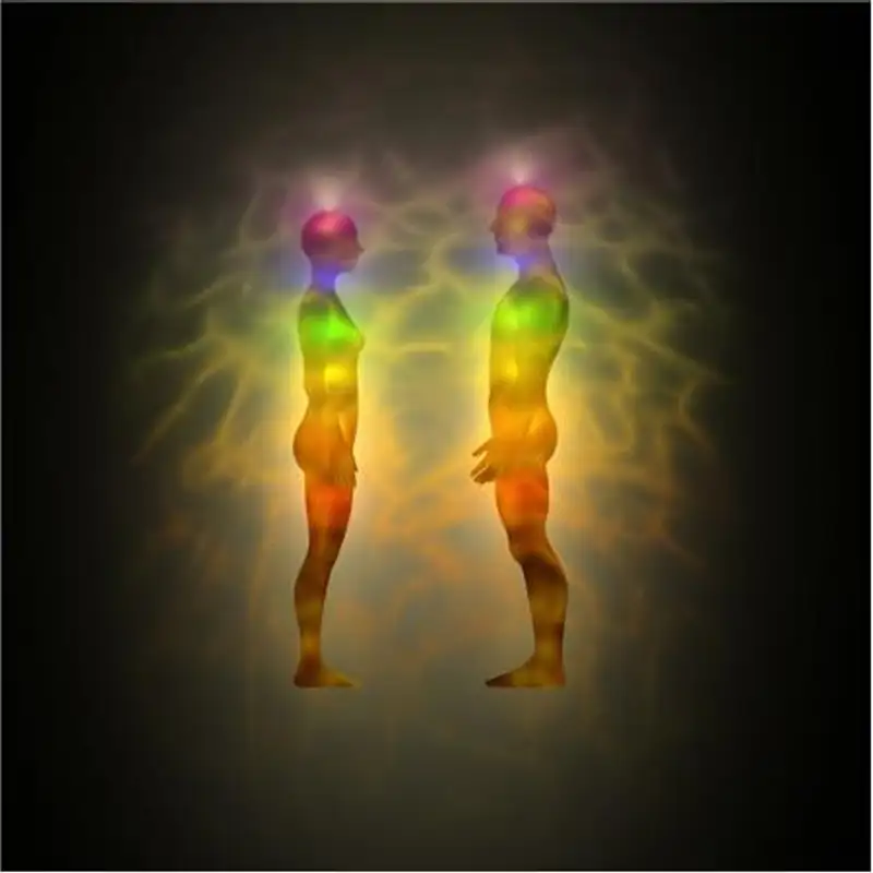 Does Your Higher Self Always Know Best?