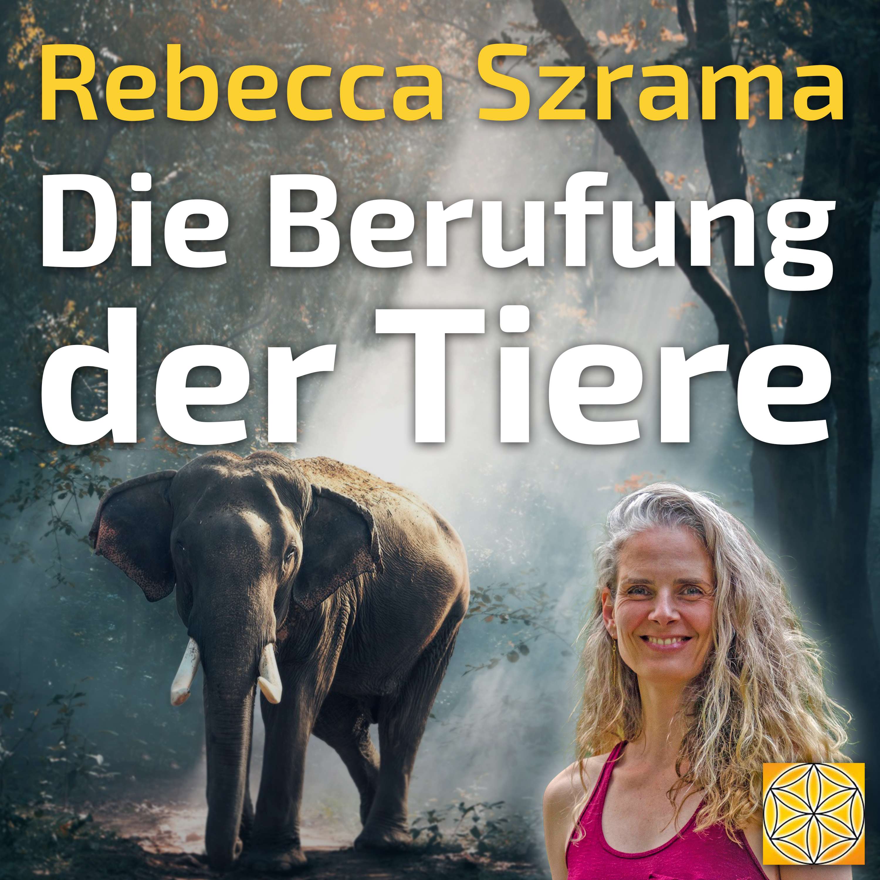 Channeling Kongress | Botschaften aus der Geistigen Welt