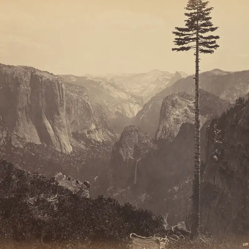 Carleton Watkins and Photography’s Romance with the American West