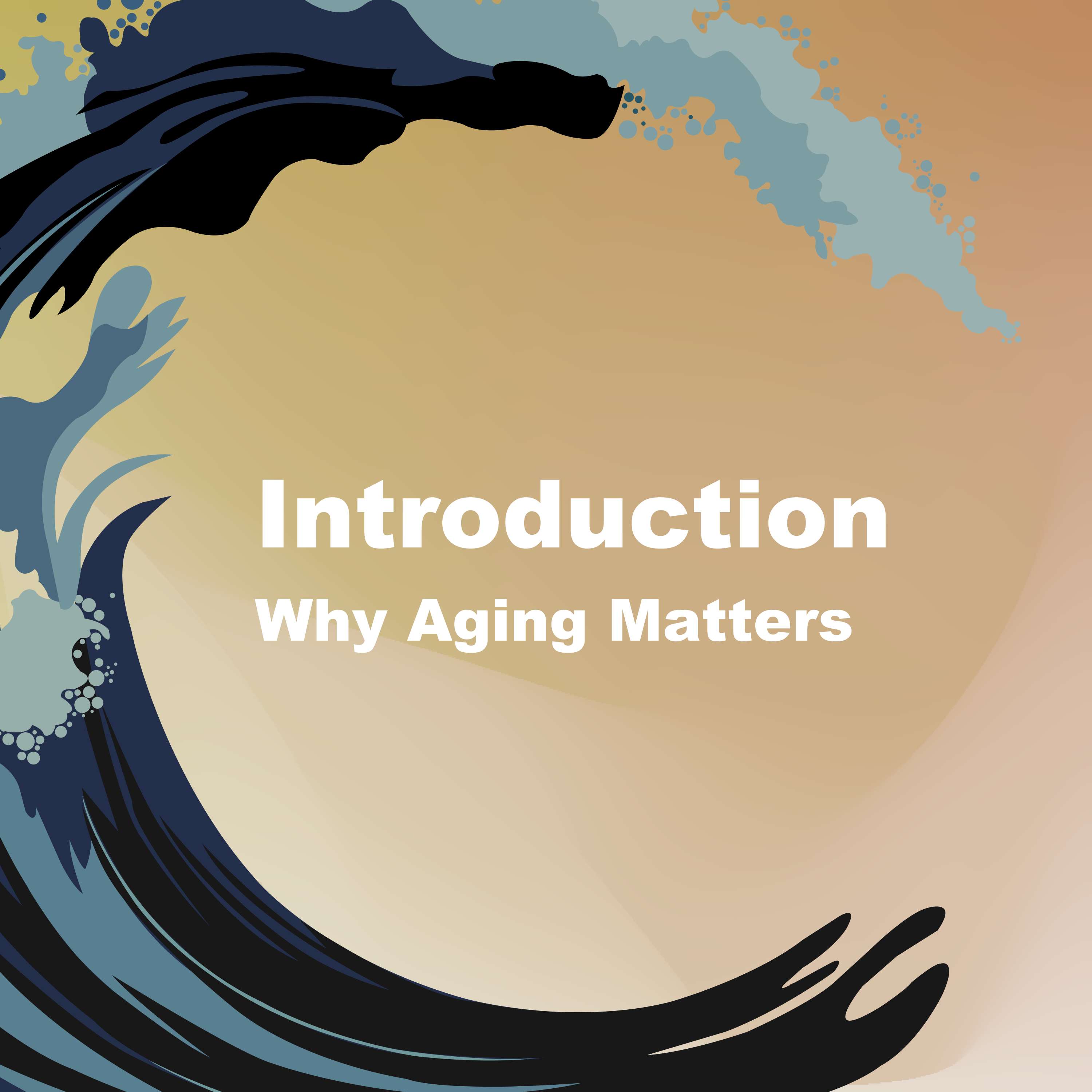 Introduction to The Age Wave