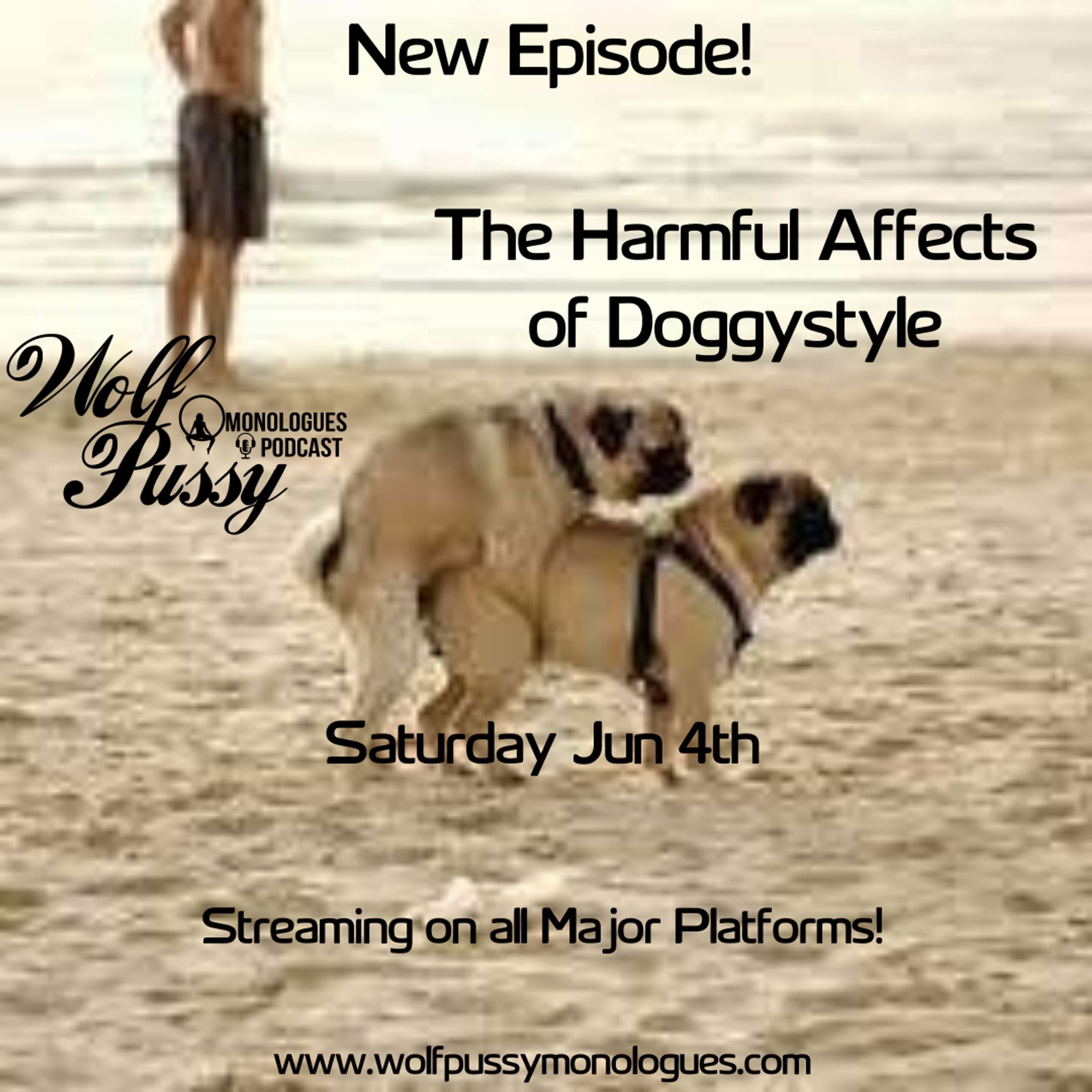 The Harmful Affects of Doggystyle