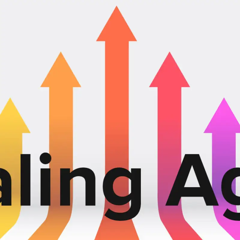 Why We Should Rethink Scaling Frameworks