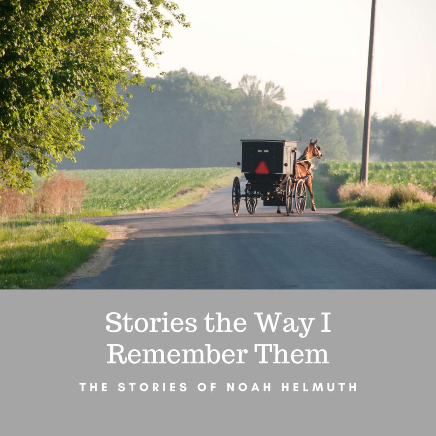 How I met your grandma