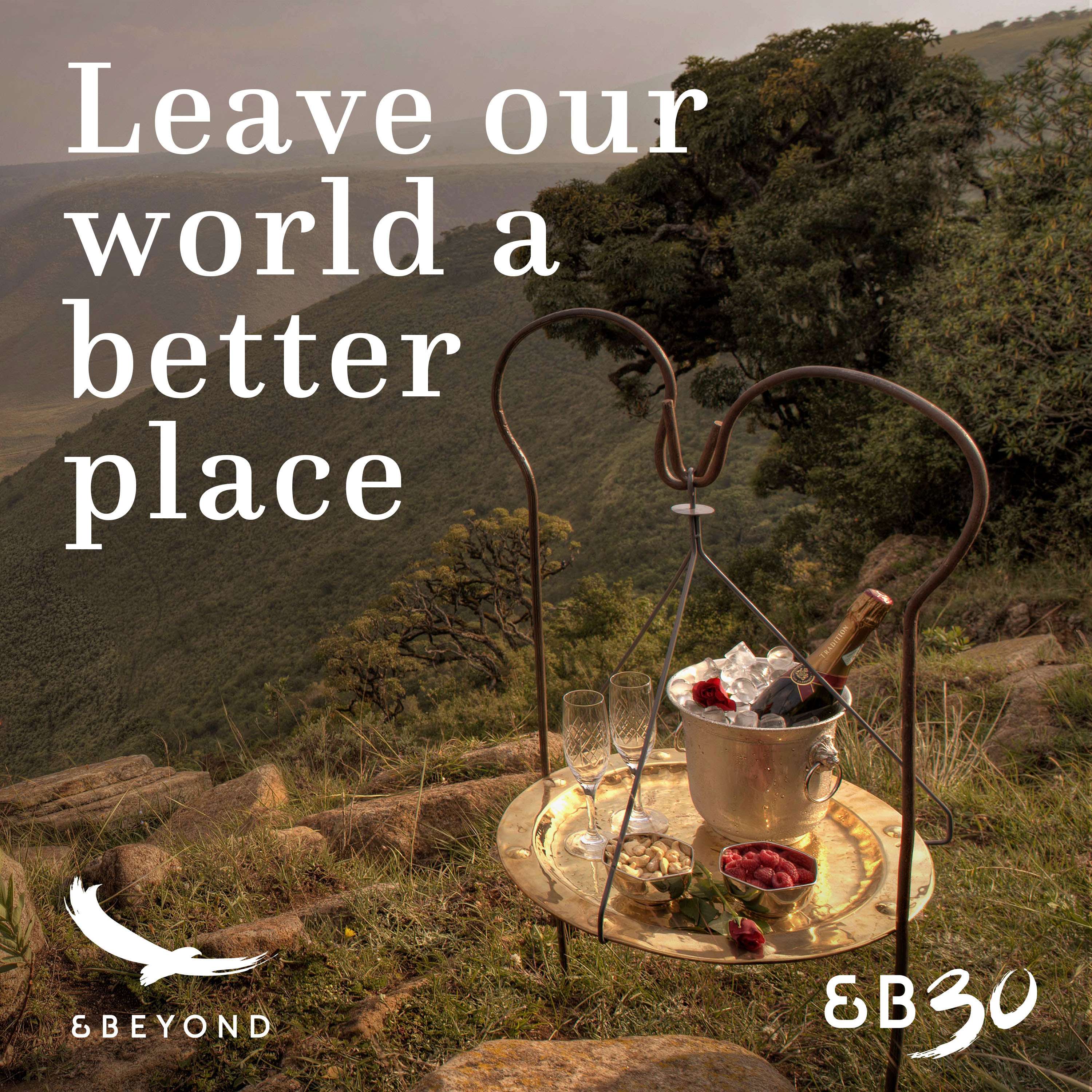 Better World