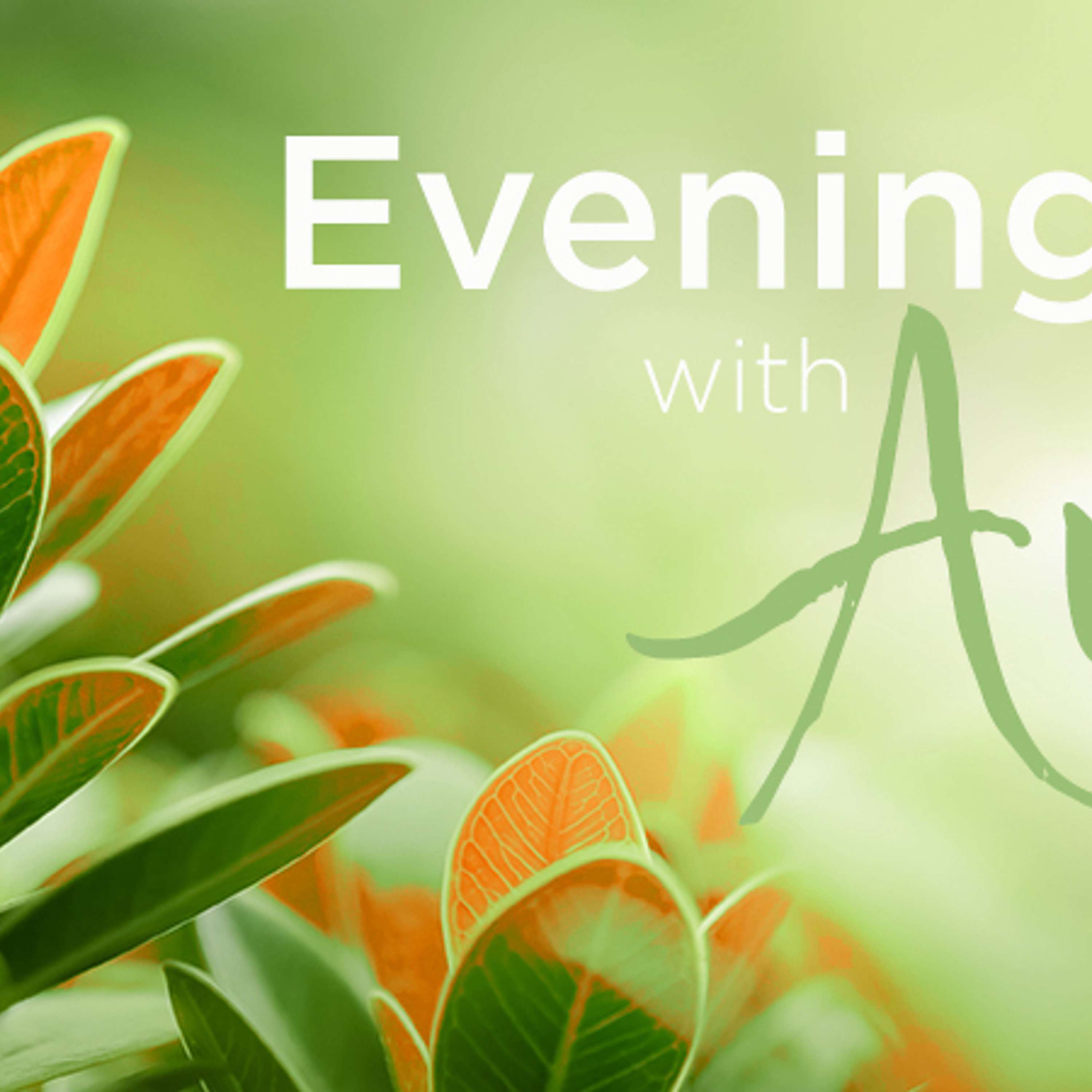 Evenings with Ann