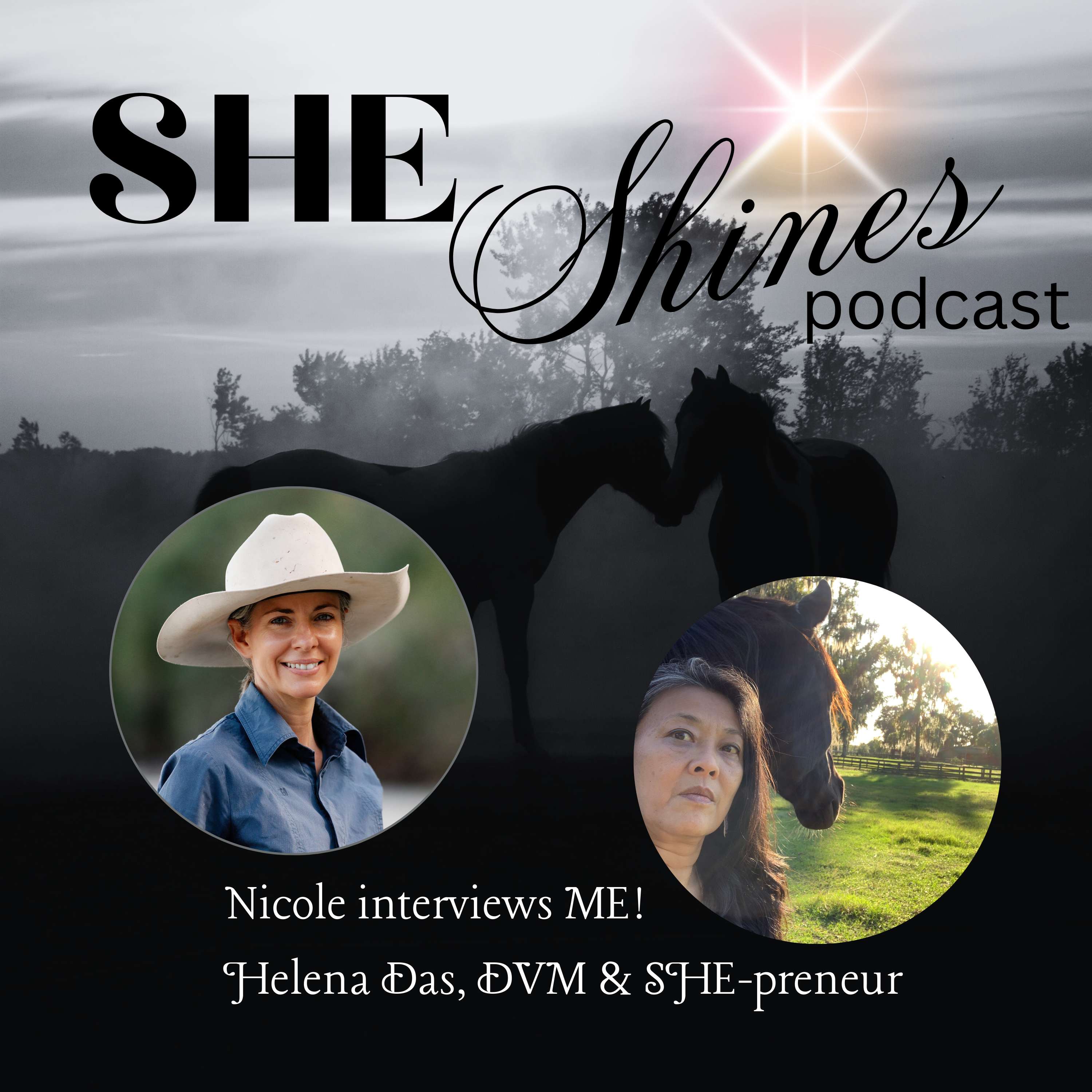 SHE Shines:  Helping \'Dark Horse-preneurs\' Unlock their Light & Get Paid to Shine