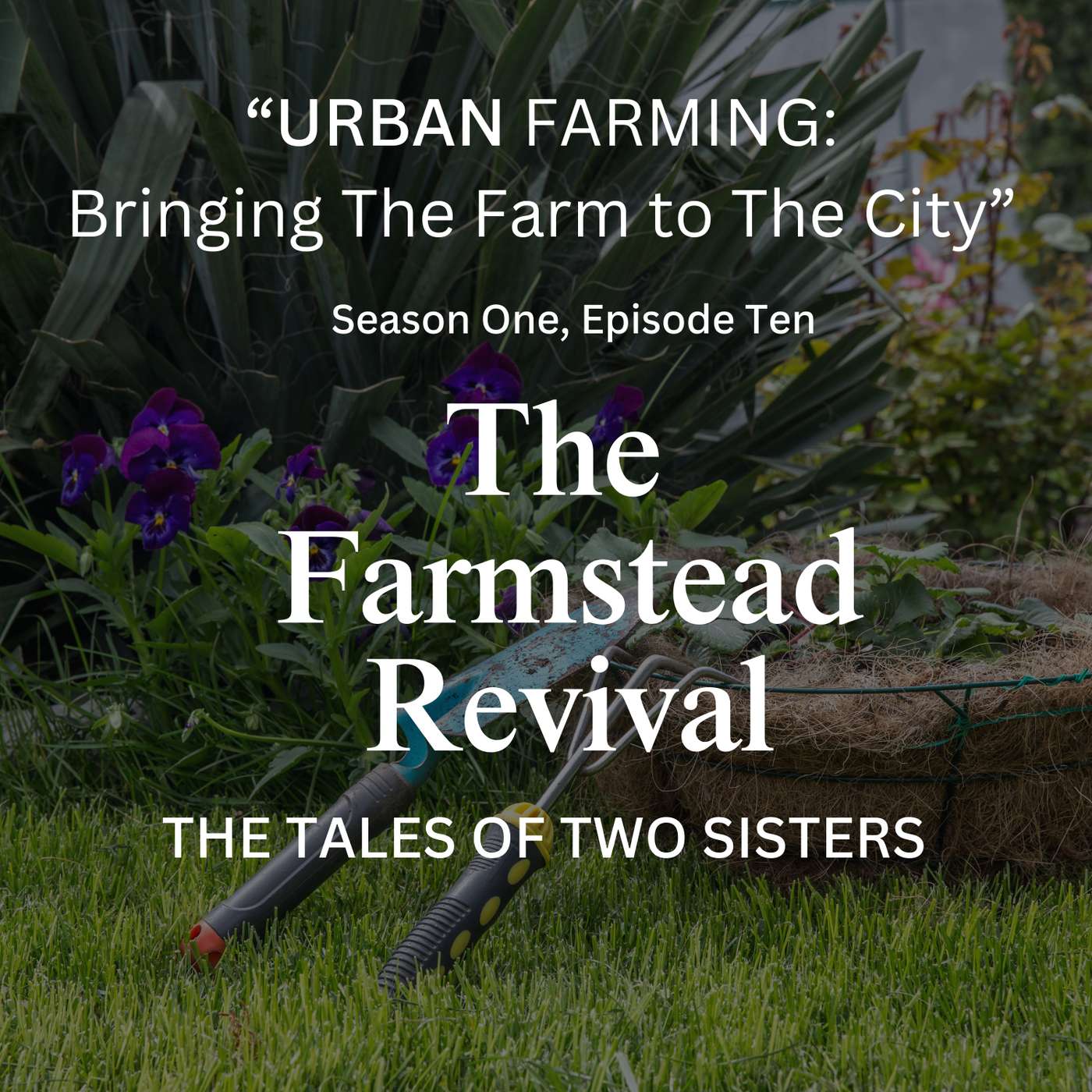 Episode #10 Urban Farming: Bringing The Farm To The City Episode #10 Urban Farming: Bringing The Farm To The City