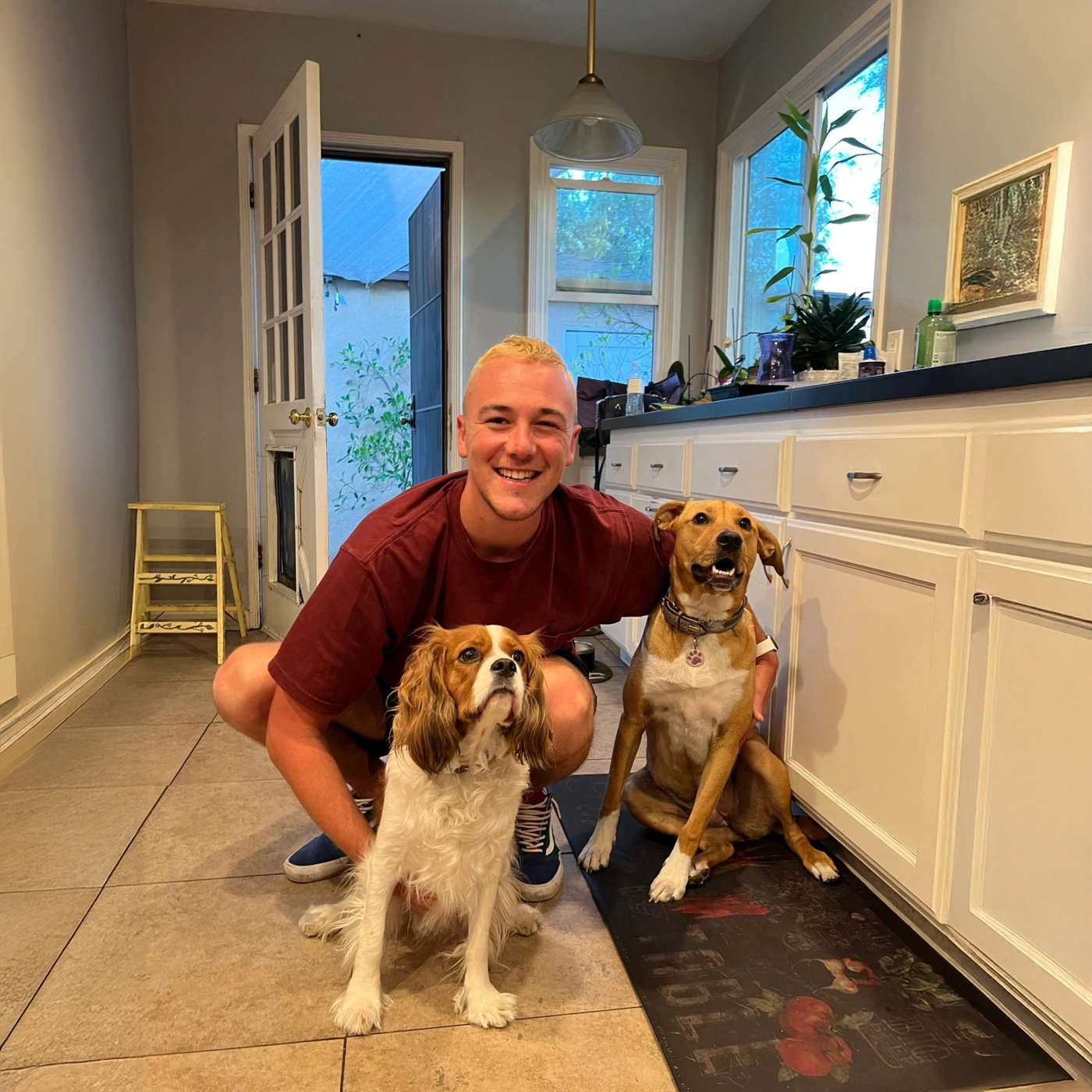 I Love Wine and Dogs