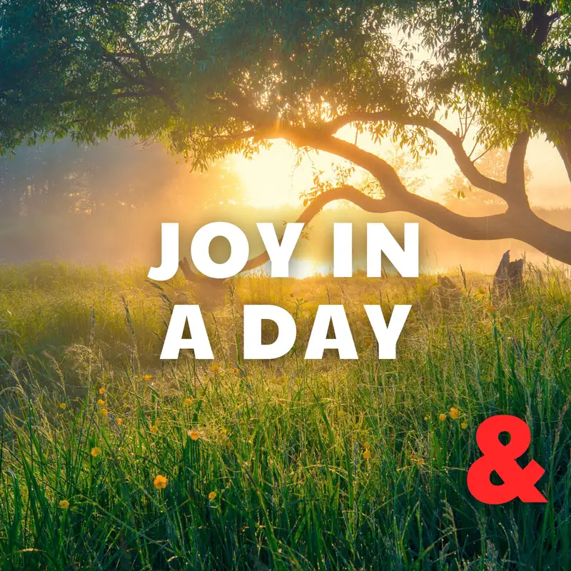 Joy in a Day