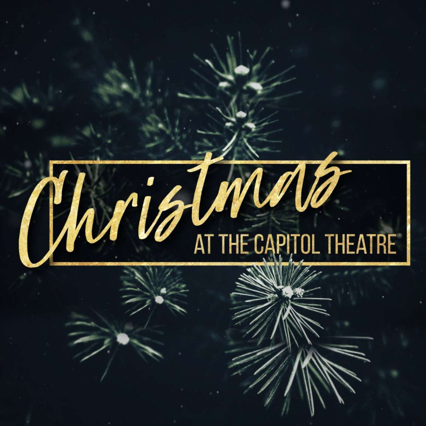Christmas EVE: The Meaning Behind the Moment