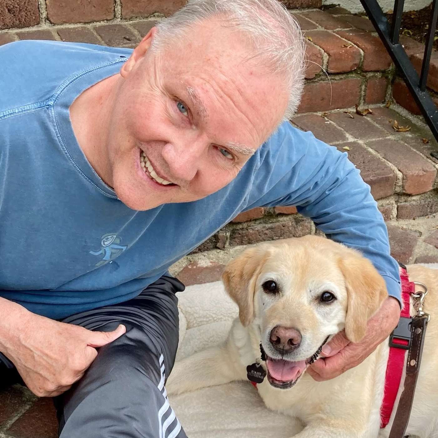 I Love Wine and Dogs