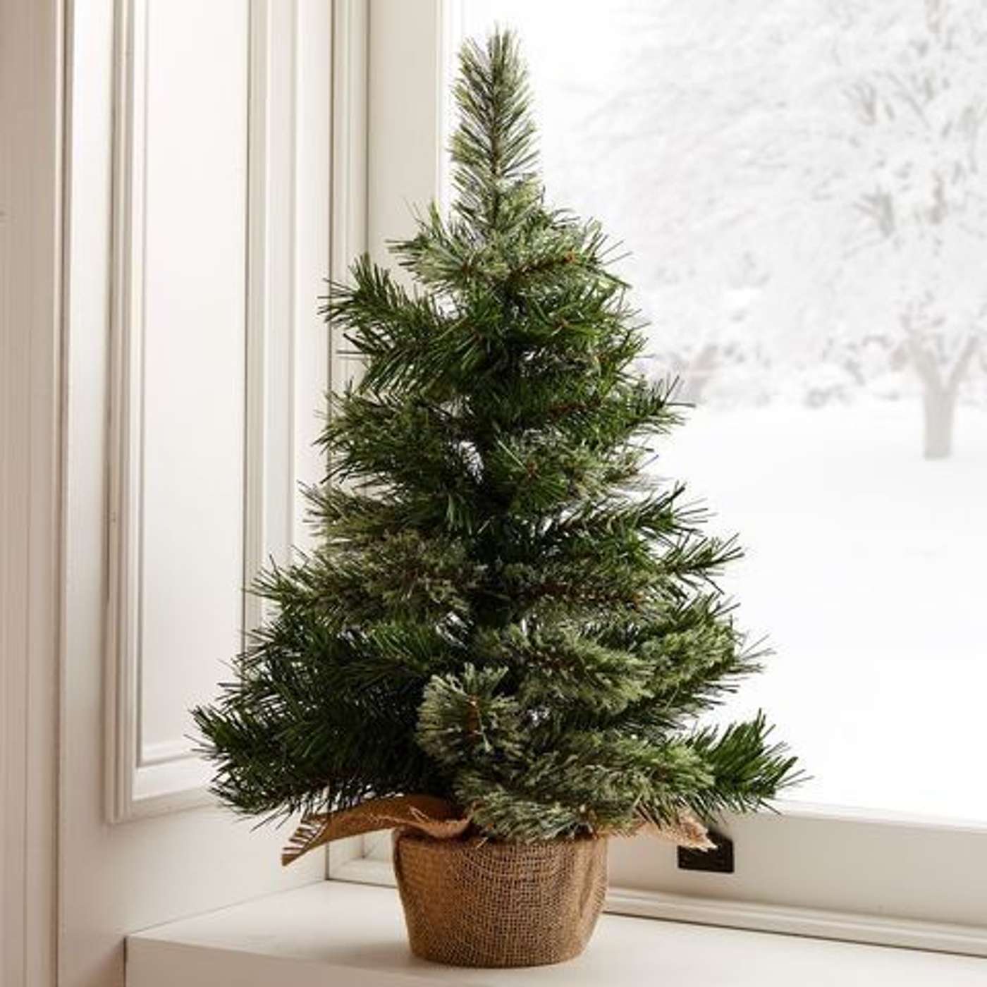 Day 20 | The Wonder of Joy with Marilyn Rhoads Day 20 | The Wonder of Joy with Marilyn Rhoads