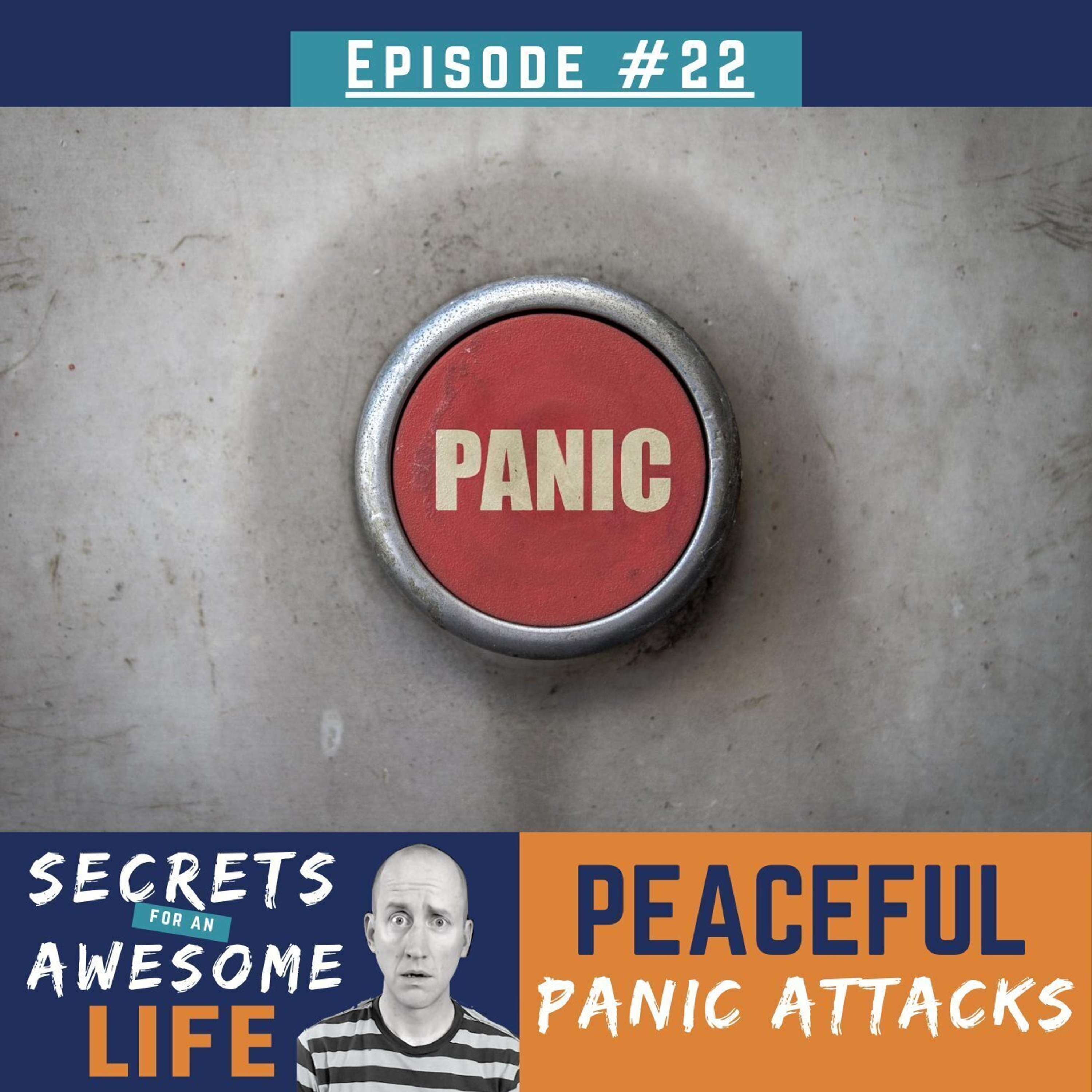 cover of episode Peaceful Panic Attacks