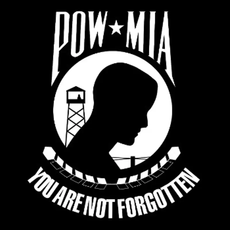 The Legacy of the Homecoming of Vietnam Era POWs