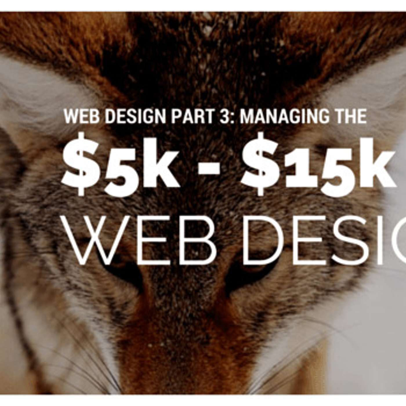 Managing the $5k to $15k web project