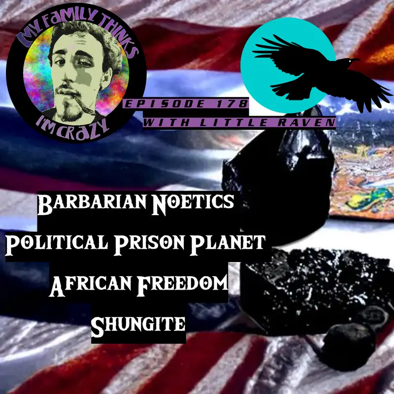 Little Raven | Barbarian Noetics, Political Prison Planet, African Freedom, and Shungite! 