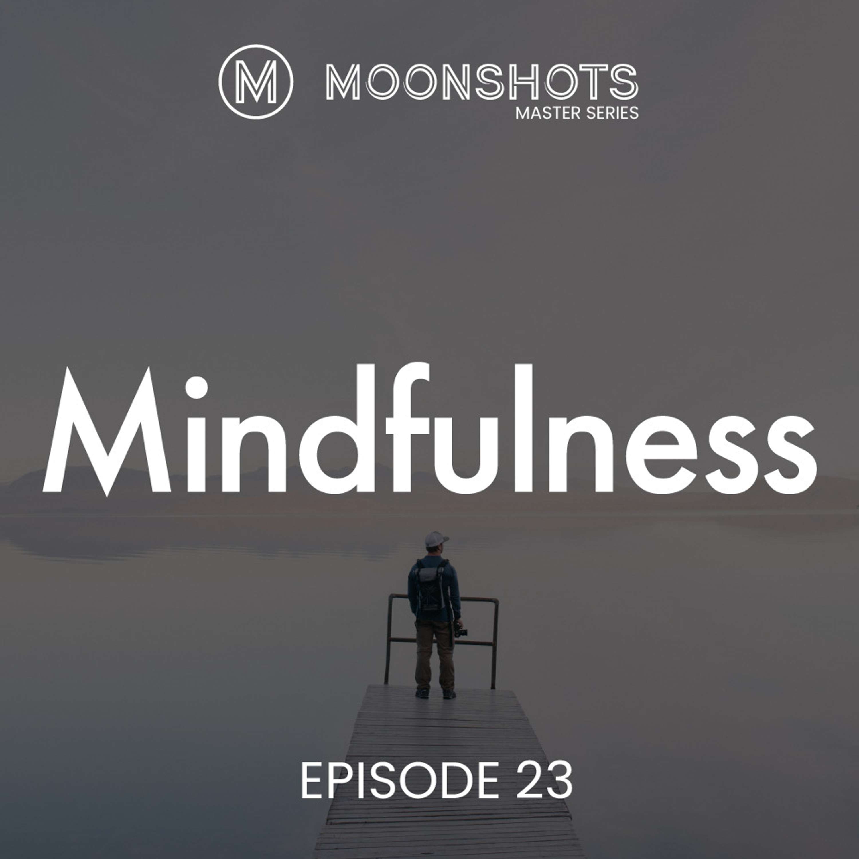 Moonshots Podcast: Superstar mindsets and success habits