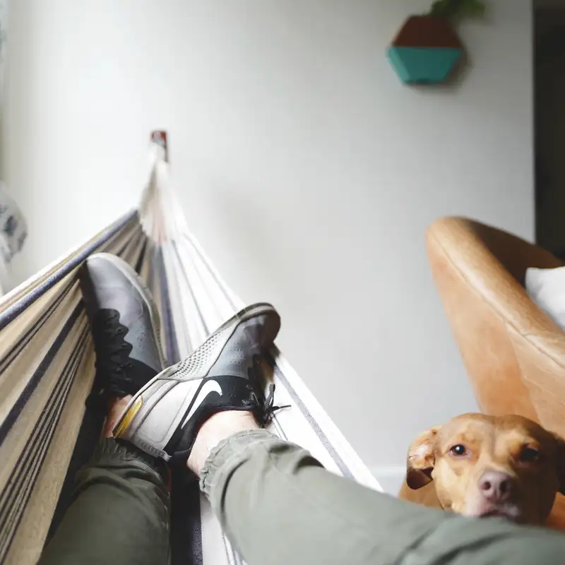 Episode 19: Eat, Sleep, and Move Yourself Towards Healing