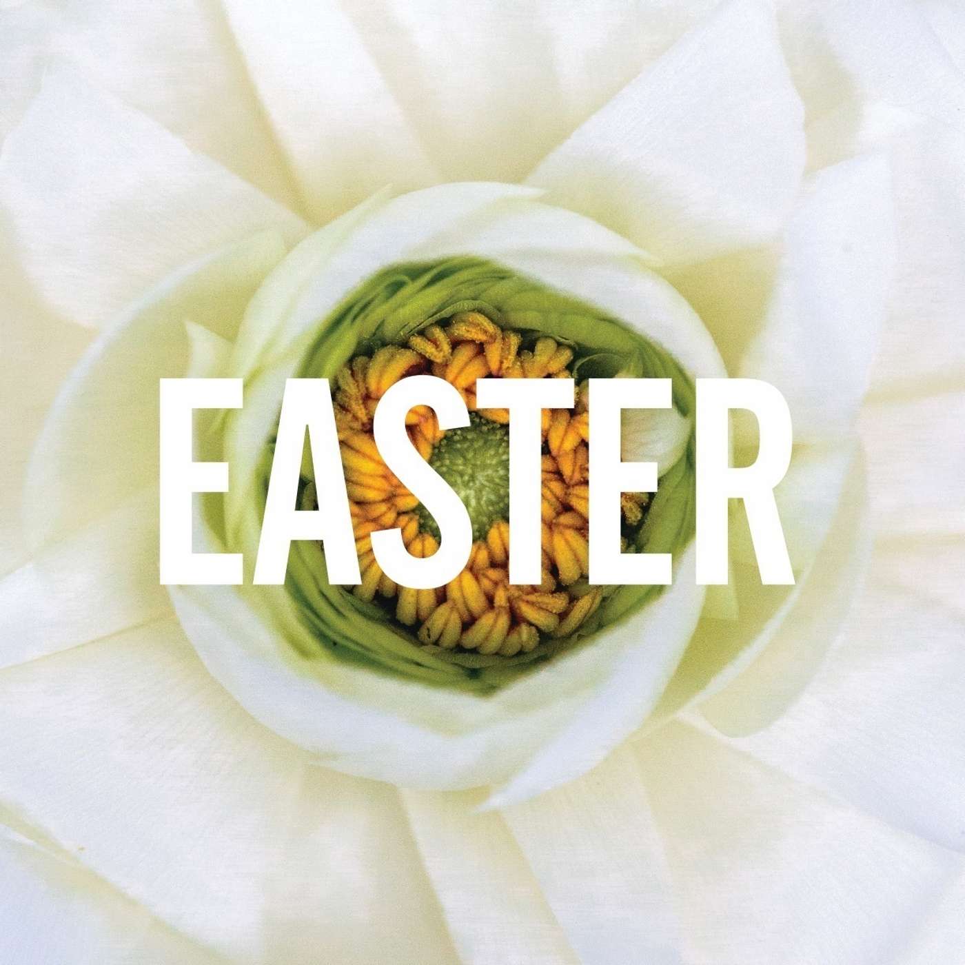 Easter Sunday
