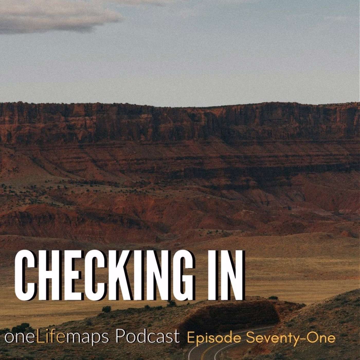 the REALIFE Practice Podcast