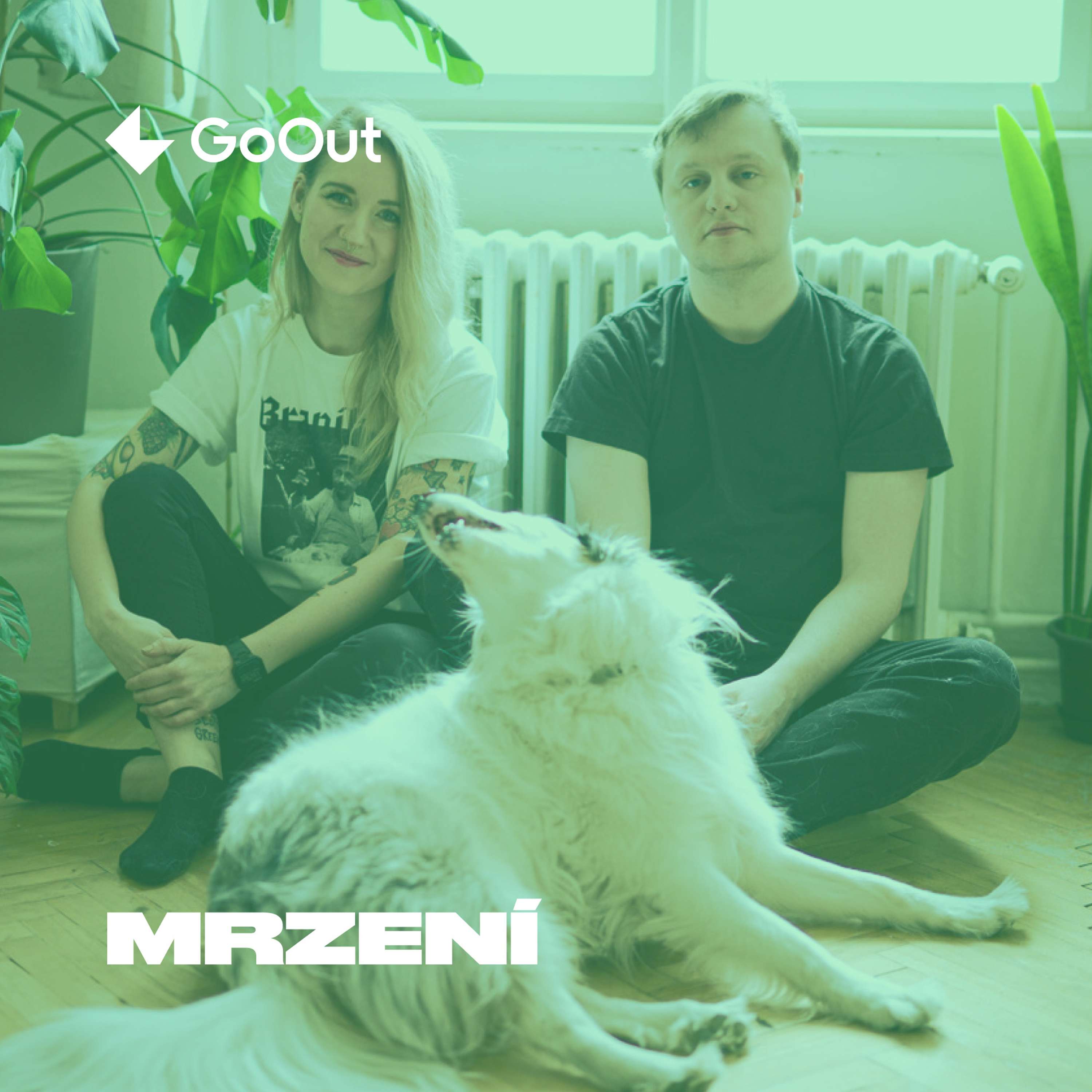 Mrzení