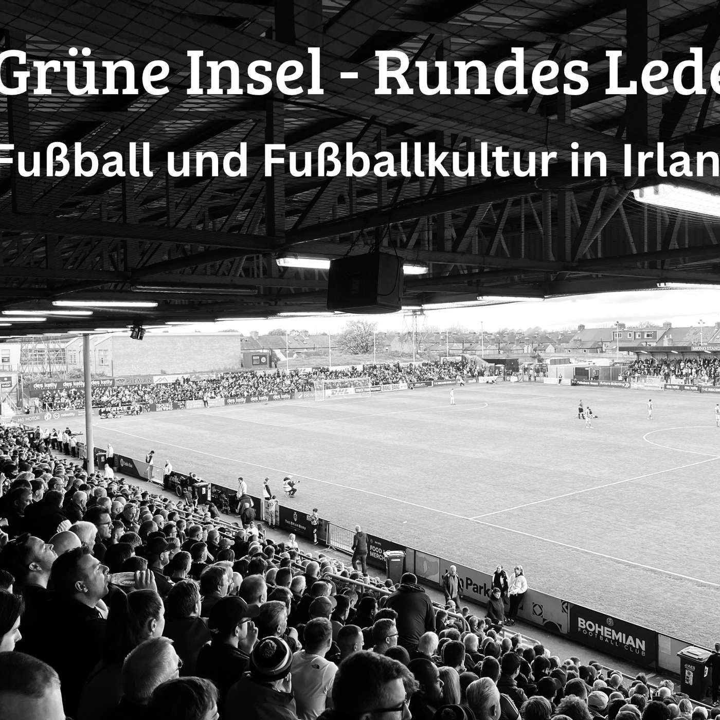 Grüne Insel - Rundes Leder 