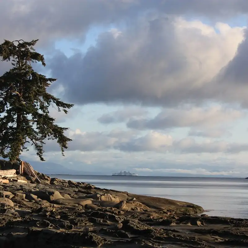 AAP results approves new health and wellness service for Gabriola Island