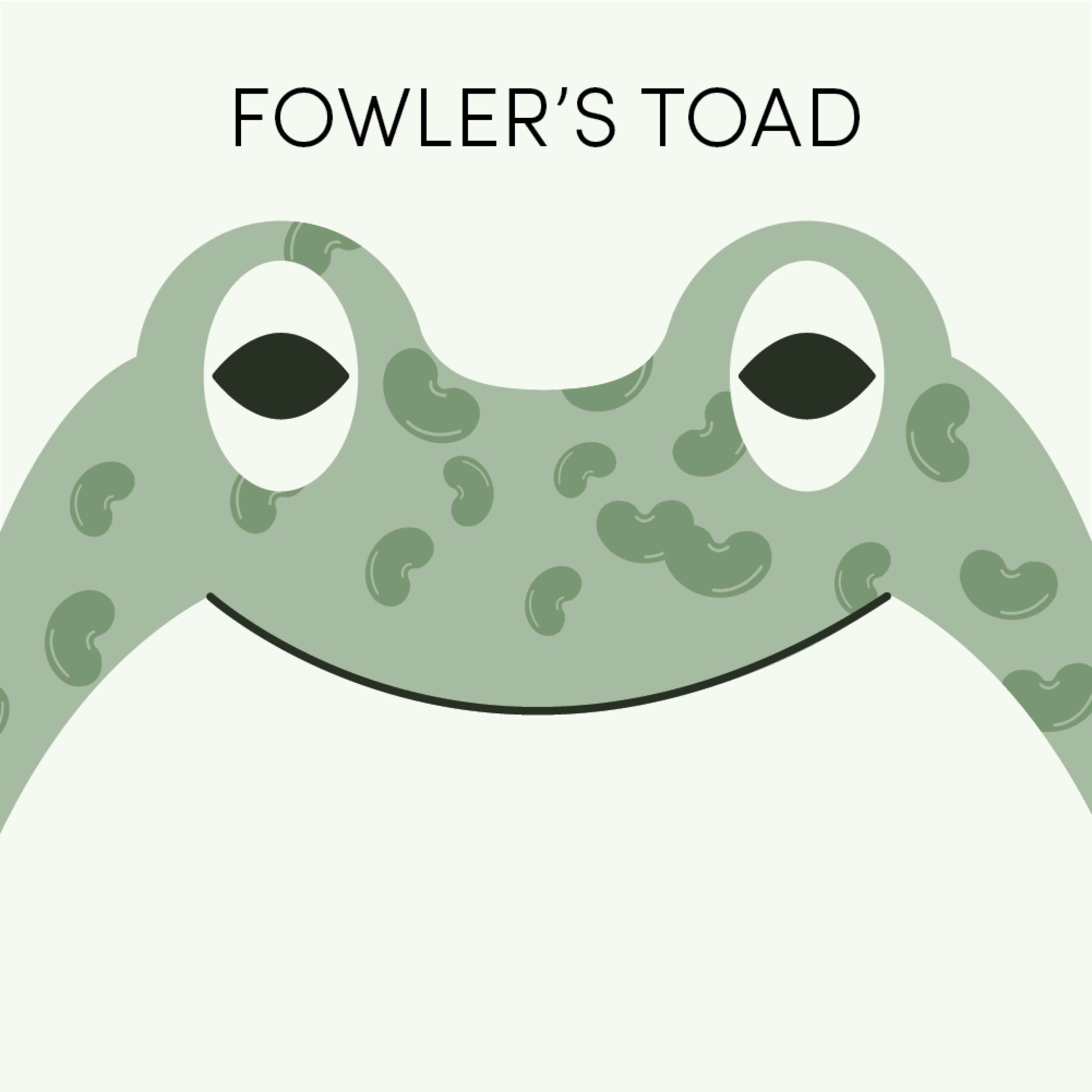 Fowler's Toad | Week of November 15th