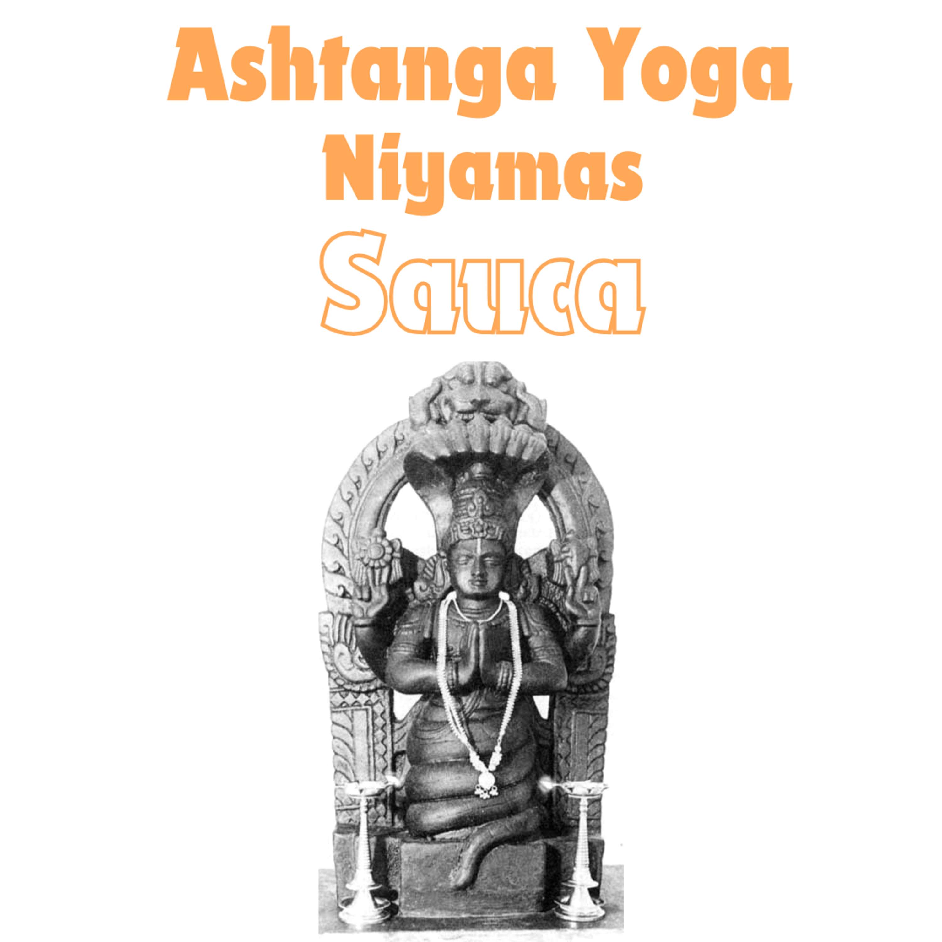 Yoga Connection With Zorananda