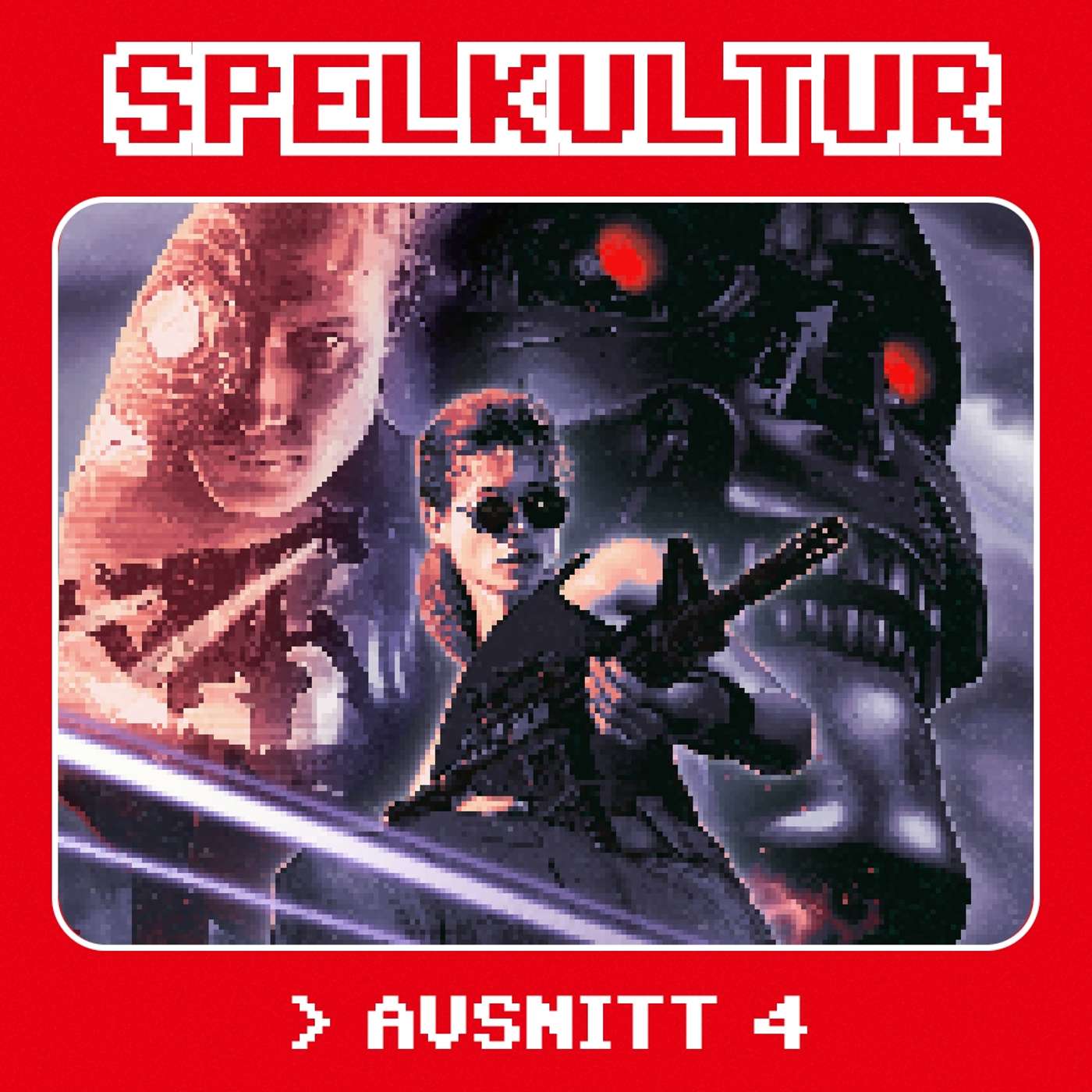 Avsnitt 4