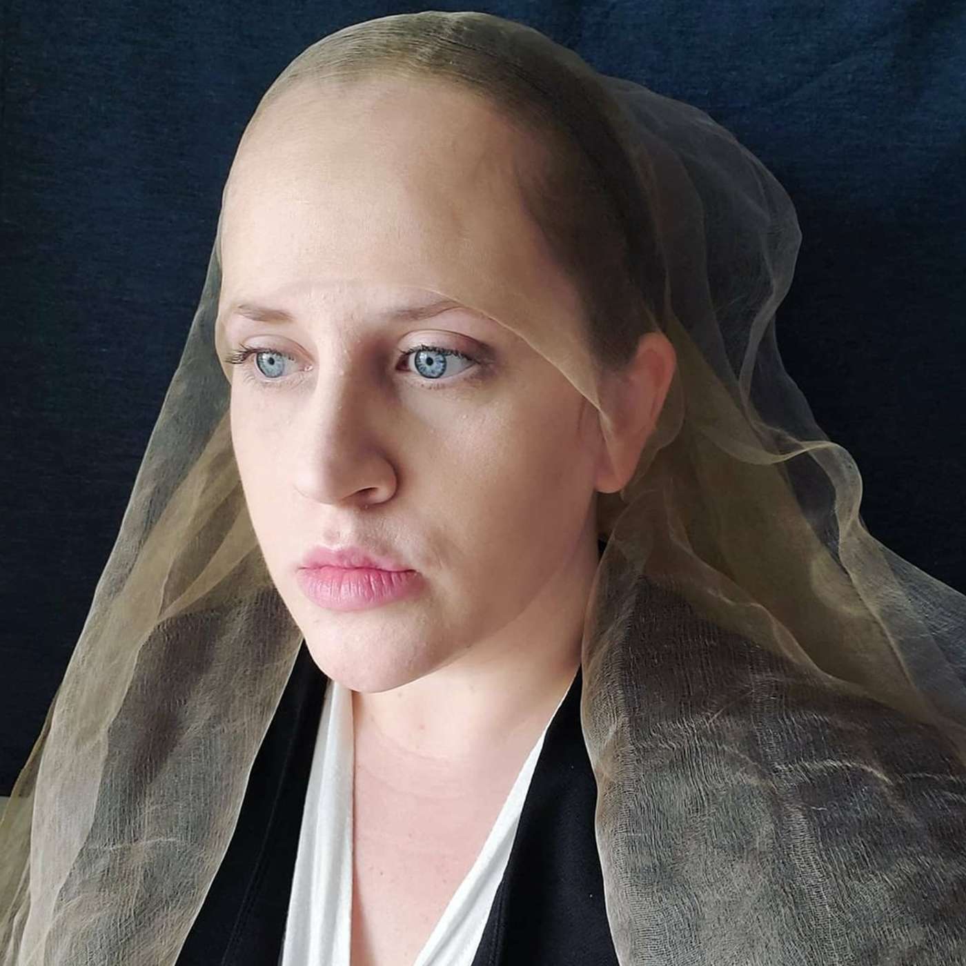 Portrait of a Lady Portrait of a Lady