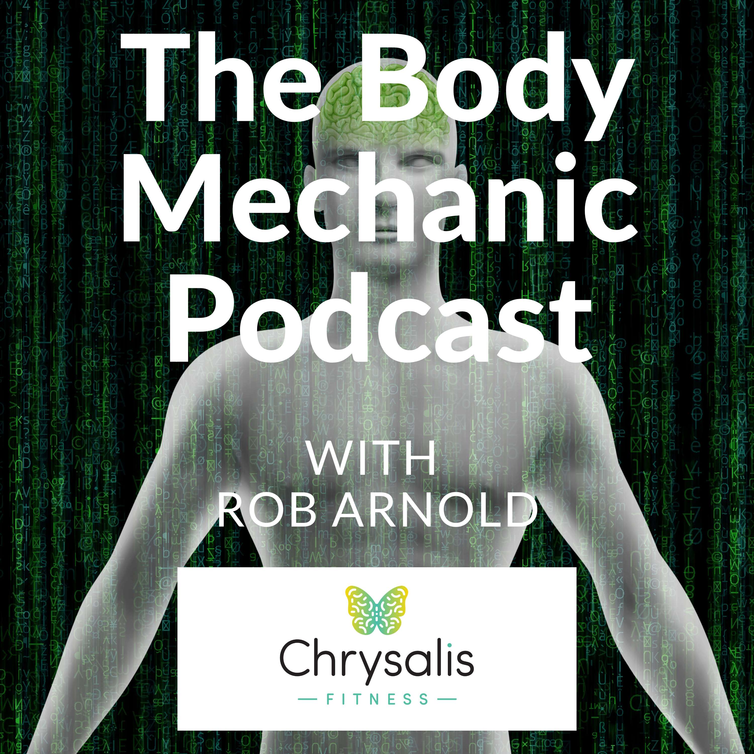 The Body Mechanic