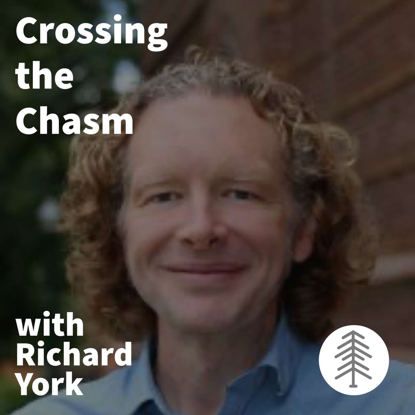 Crossing the Chasm with Richard York episode artwork