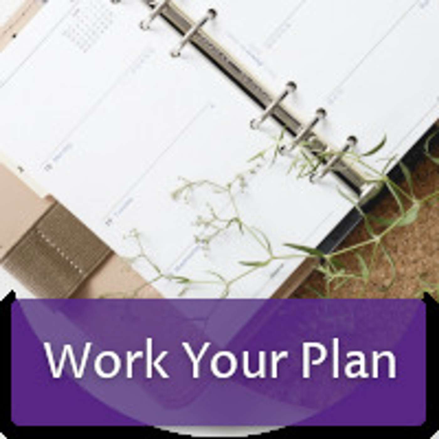 Retired 2022 - Work the plan (#11 - Work Your Plan)