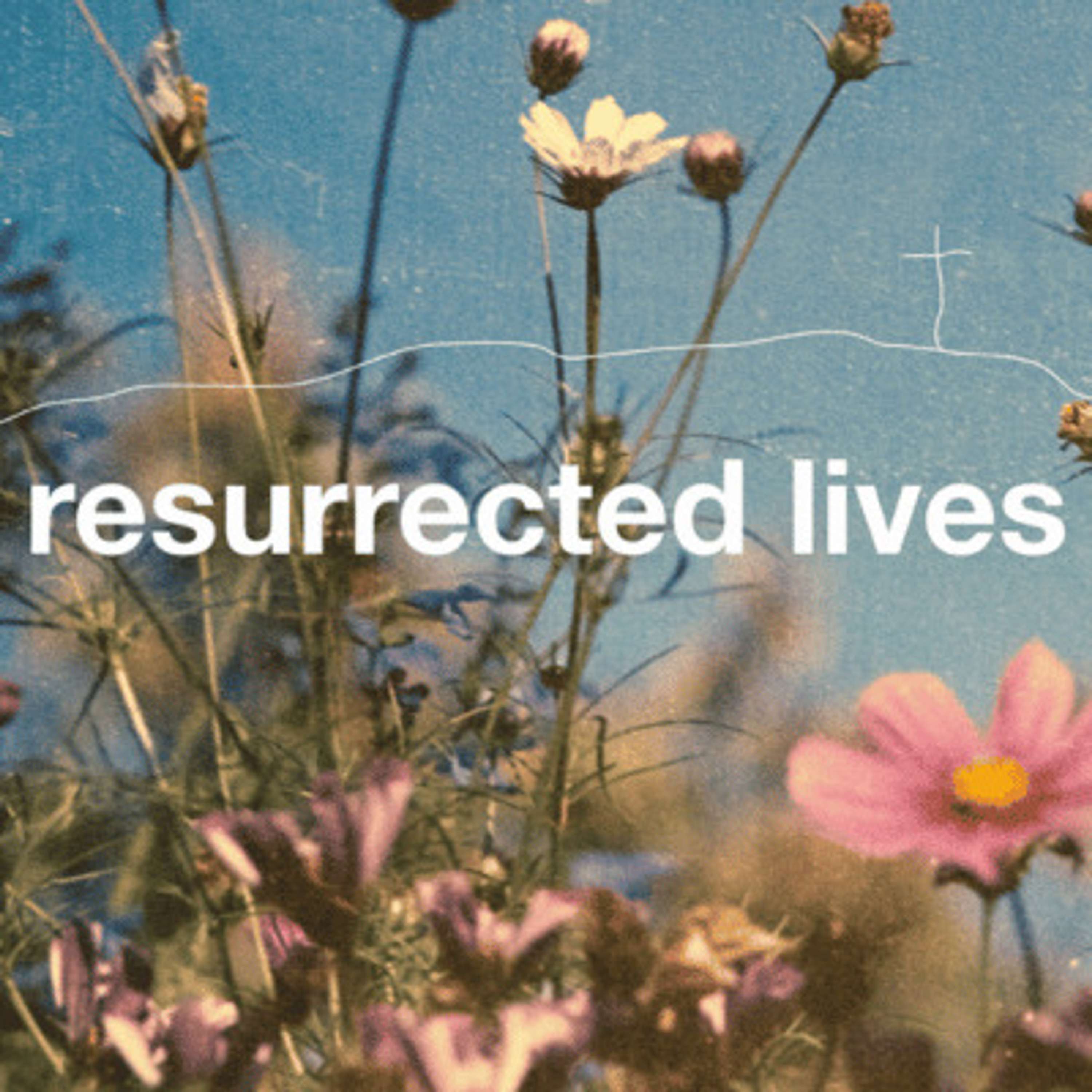Elm City Vineyard Church Talks