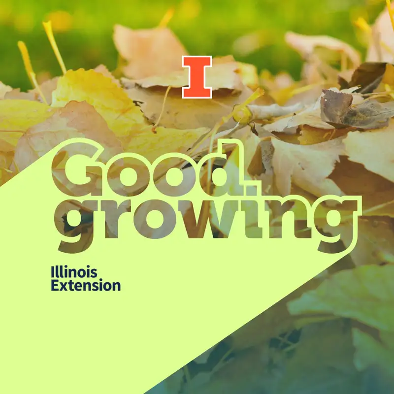 Ep. 156 Fall garden Q&A and garden updates | #GoodGrowing