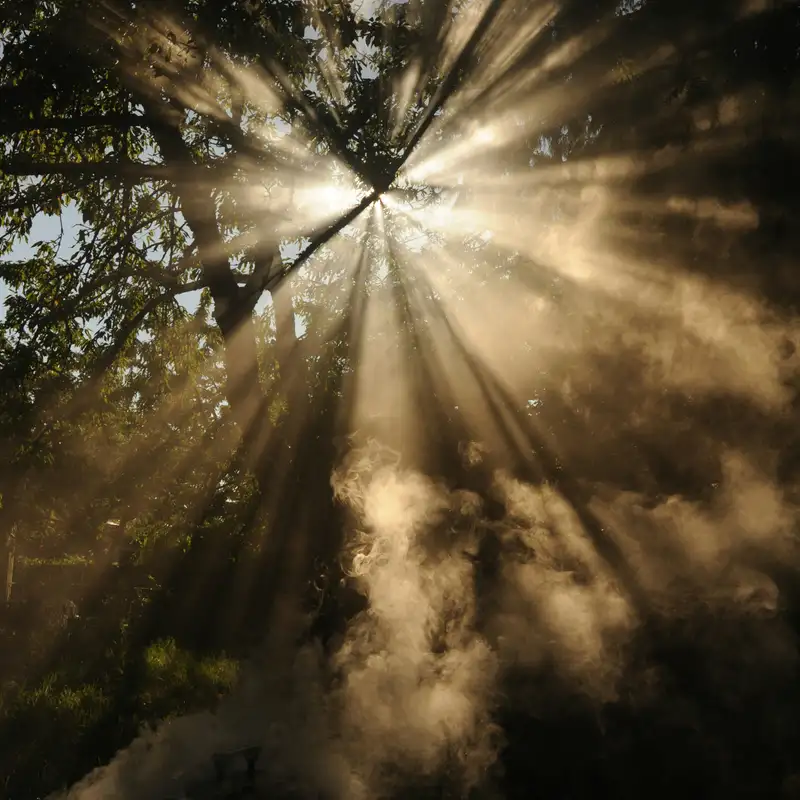 Can we do therapy without a therapist?