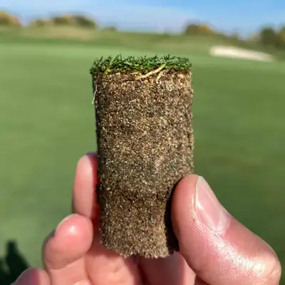 The ct_turf Podcast