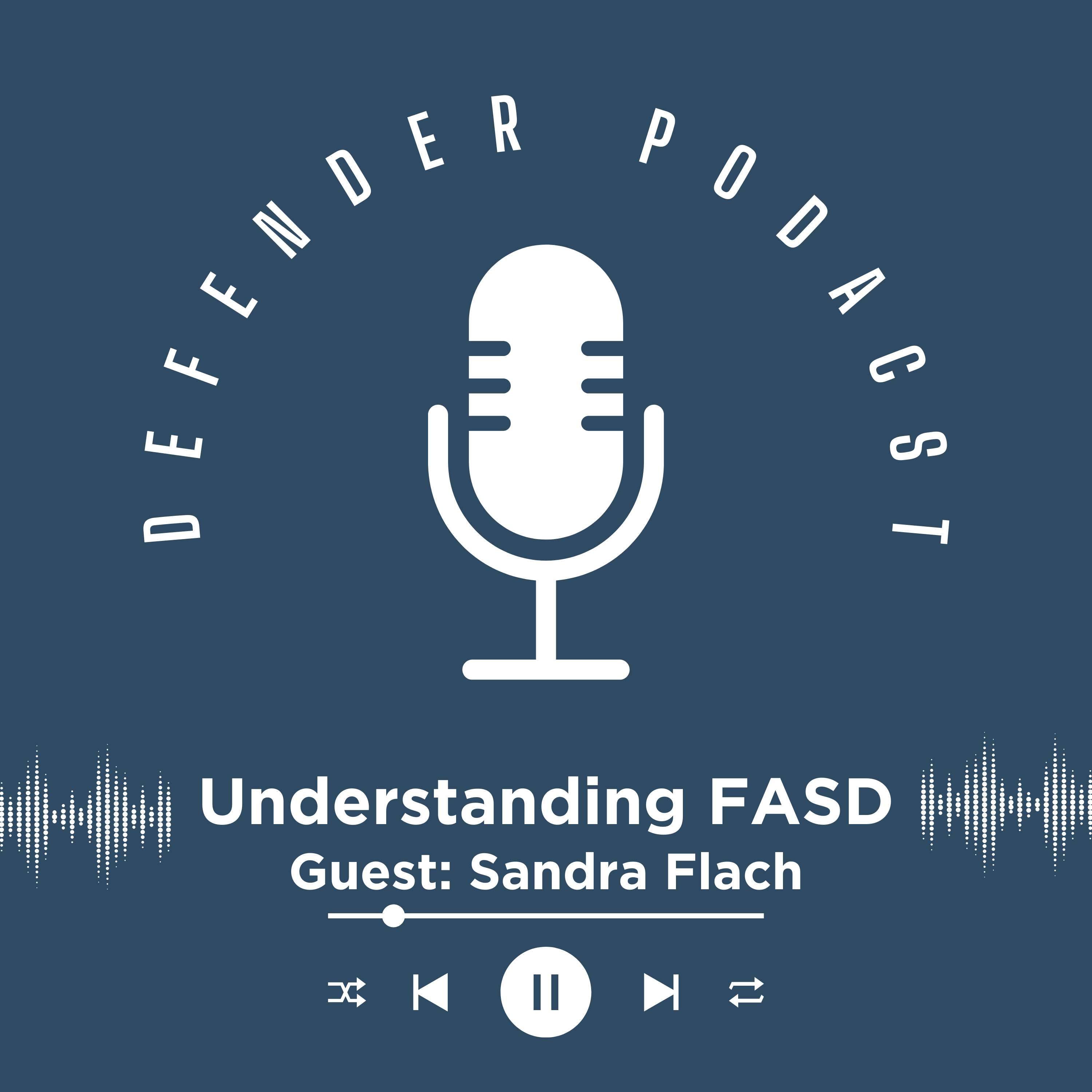 The Defender Podcast