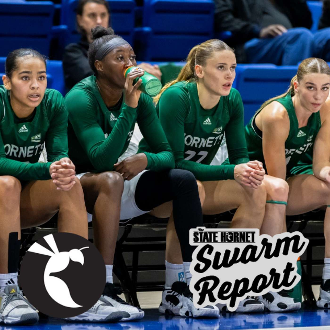 Swarm Report: Sac State football falls short against UC Davis, volleyball brings home Big Sky Championship Swarm Report: Sac State football falls short against UC Davis, volleyball brings home Big Sky Championship