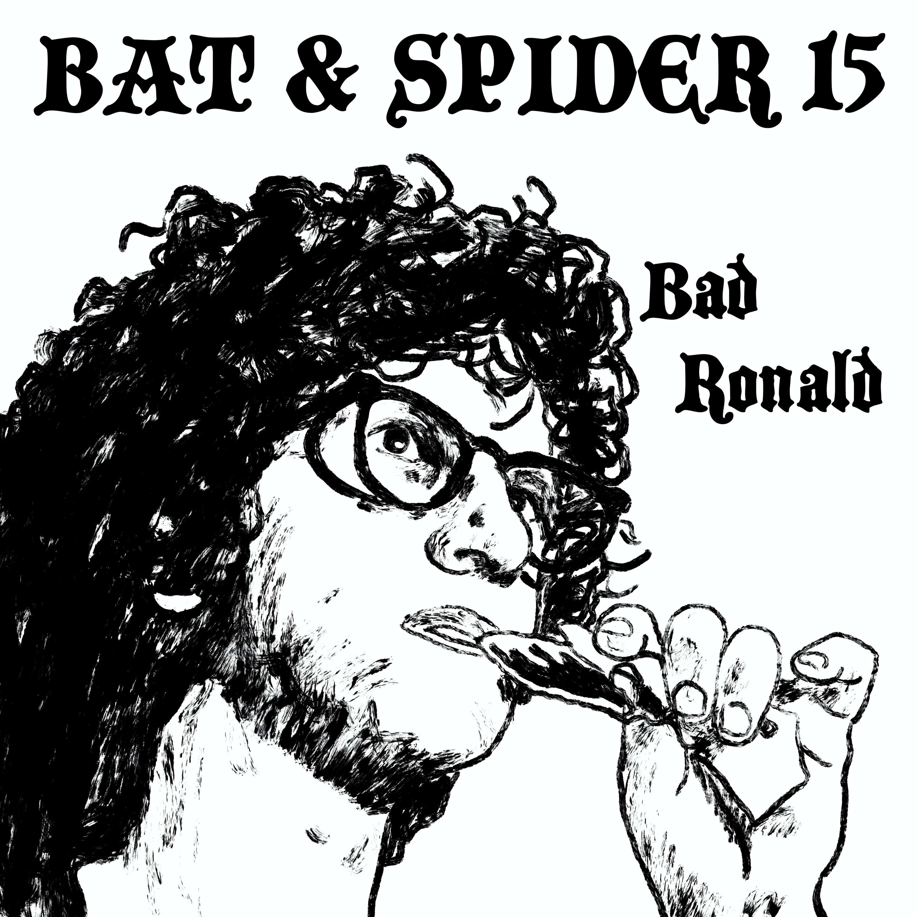 BAT AND SPIDER